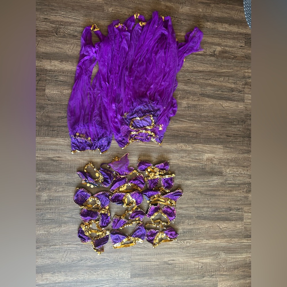 Frederick’s of Hollywood Purple and Gold Belly Dance Veil and Coin Hip Scarf Set